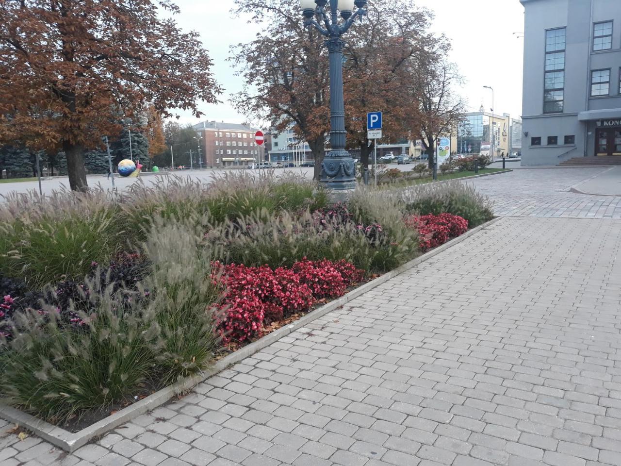 Town Center Studio Apartment Daugavpils Exterior foto